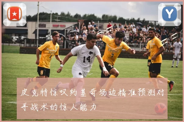 皮克特惊叹约基奇场边精准预测对手战术的惊人能力
